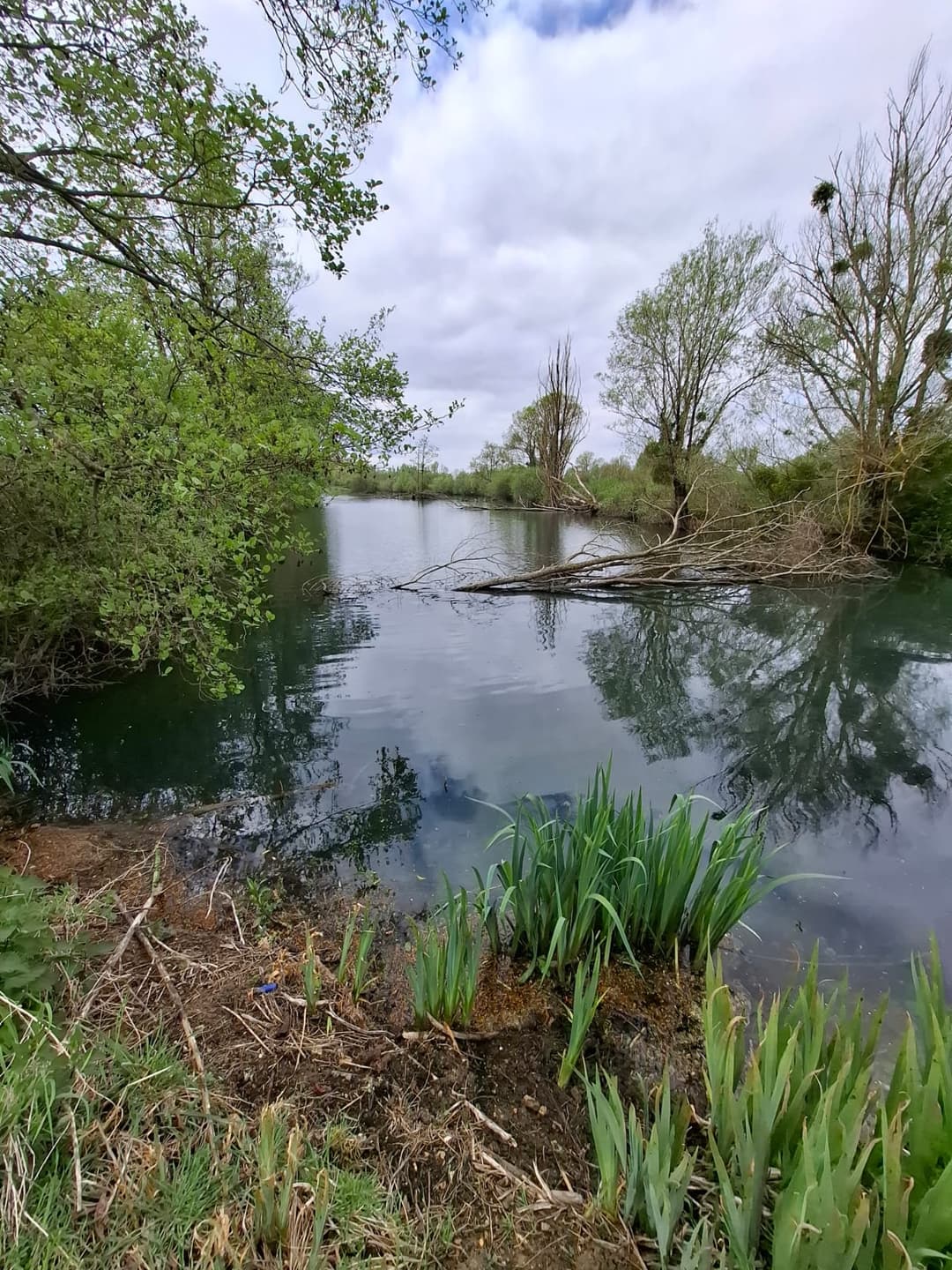 Location étang privé avec accès à une bordure de rivière à 10 min de Poitiers 