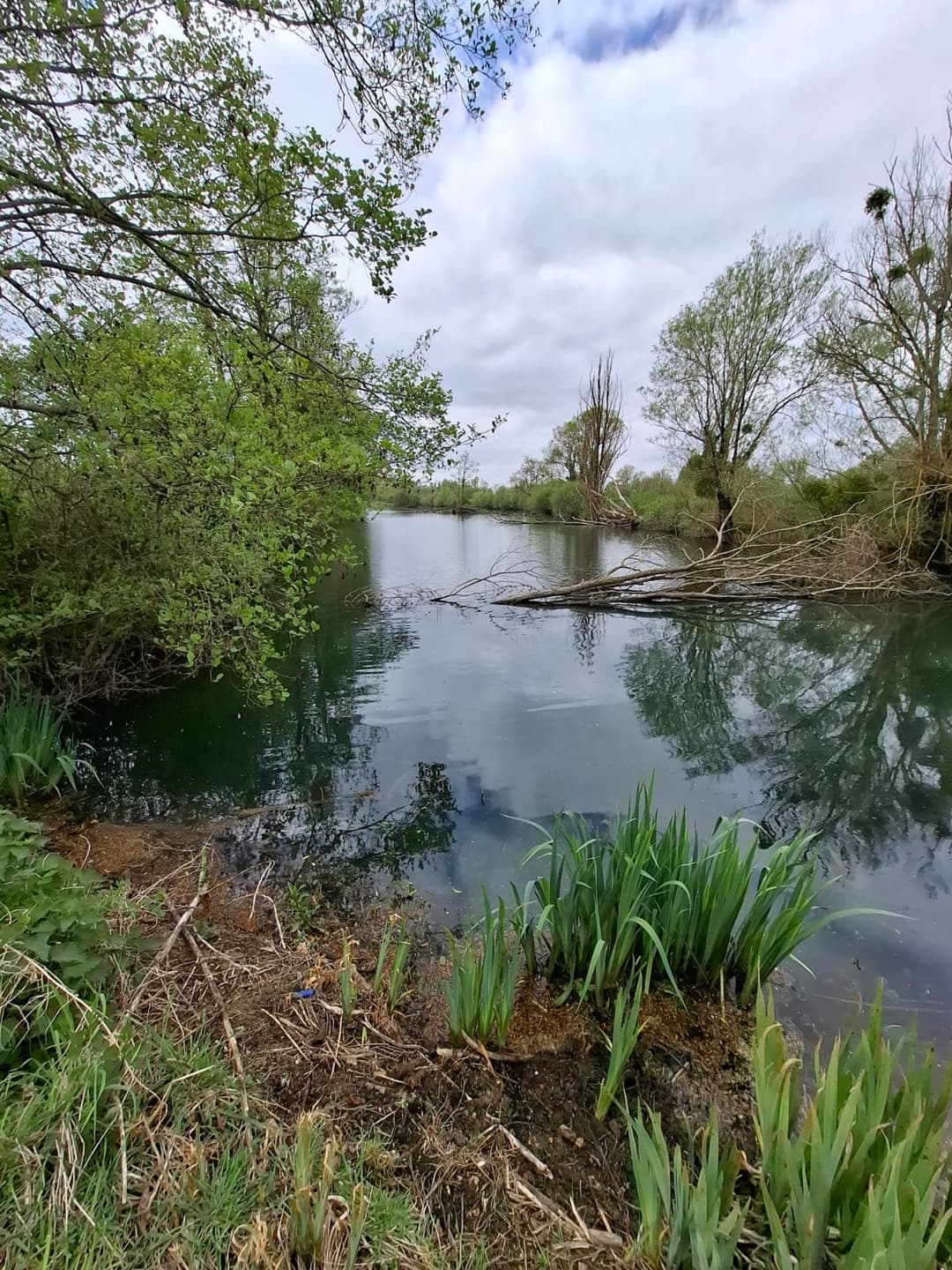 Location étang privé avec accès à une bordure de rivière à 10 min de Poitiers 