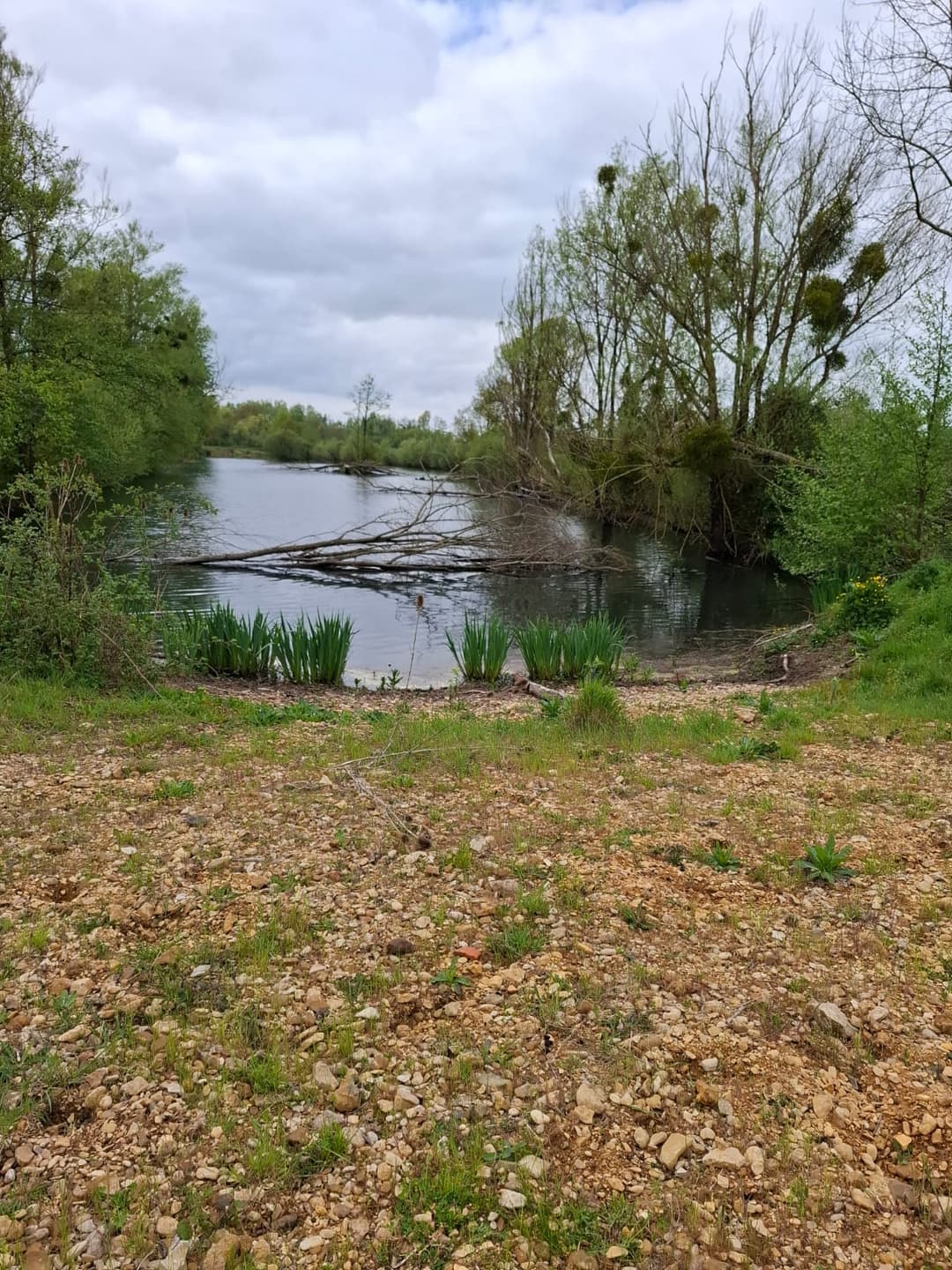 Location étang privé avec accès à une bordure de rivière à 10 min de Poitiers 