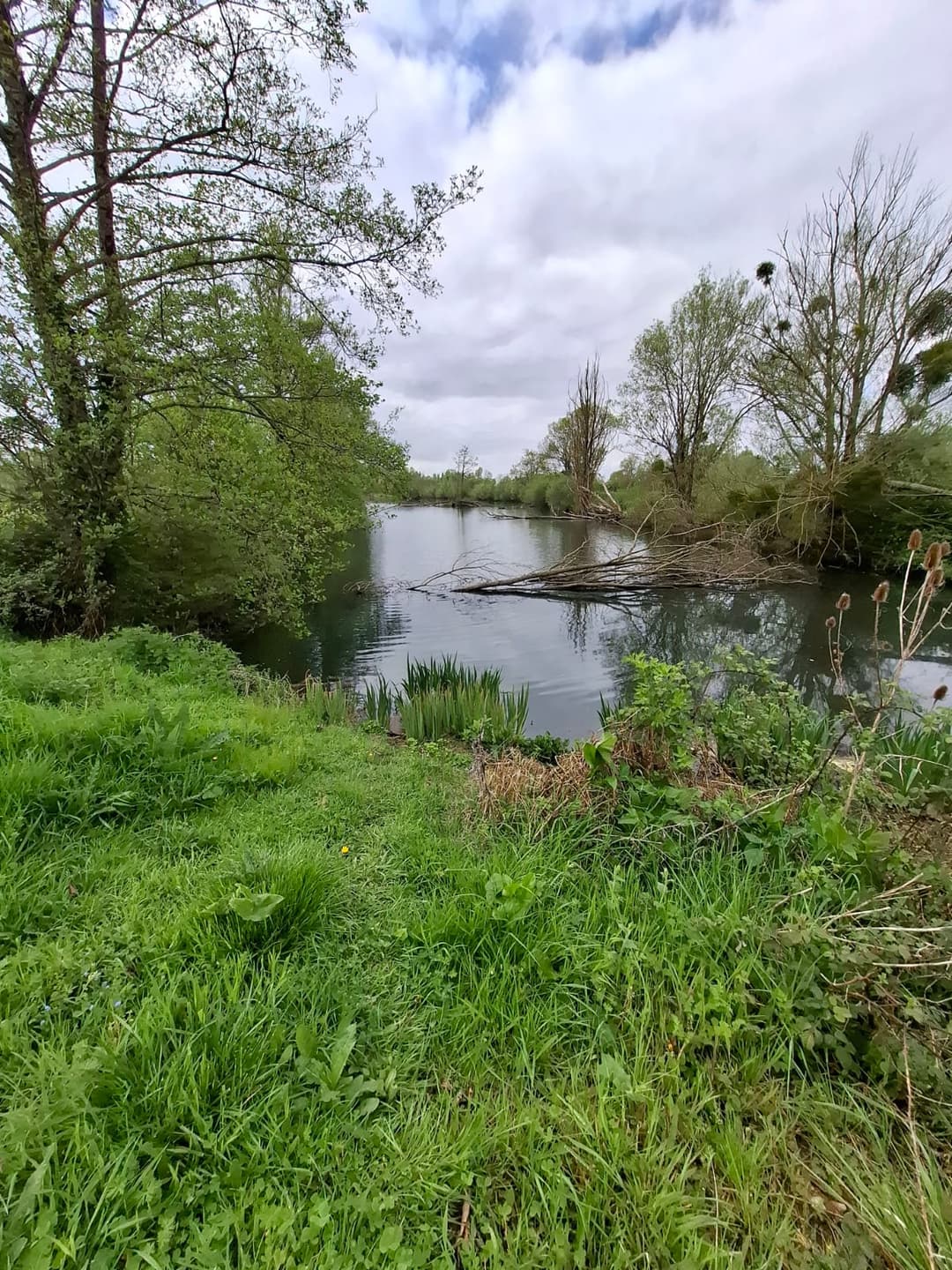 Location étang privé avec accès à une bordure de rivière à 10 min de Poitiers 