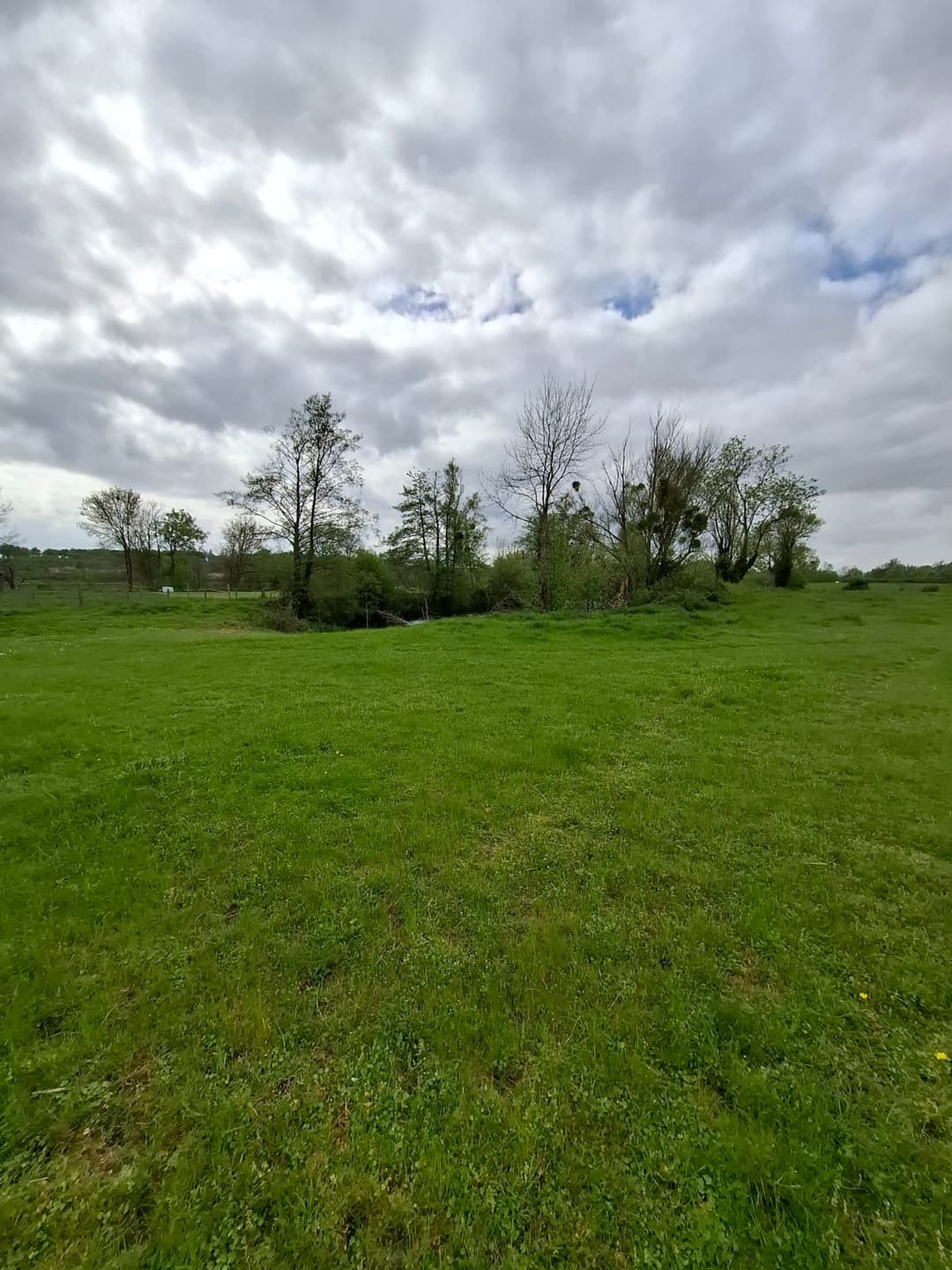 Location étang privé avec accès à une bordure de rivière à 10 min de Poitiers 