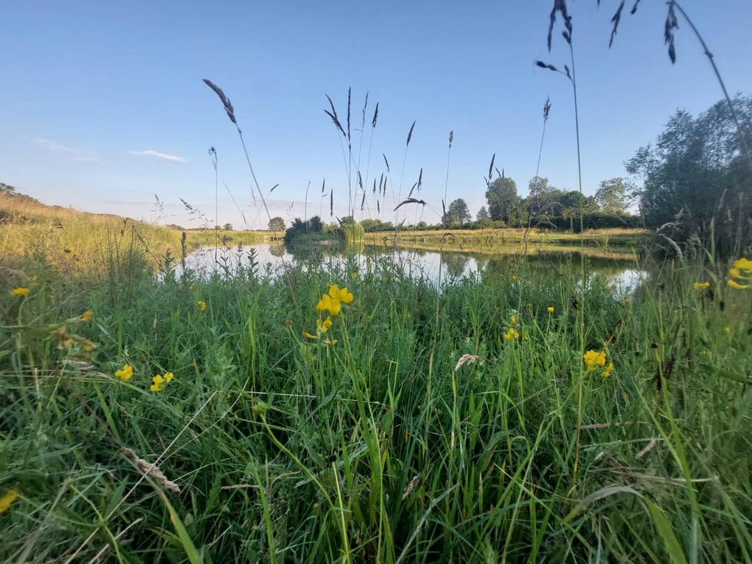 Location étang dans la Marne pour pêcher en famille ou entre amis 