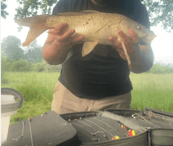 Location étang dans la Marne pour pêcher en famille ou entre amis 