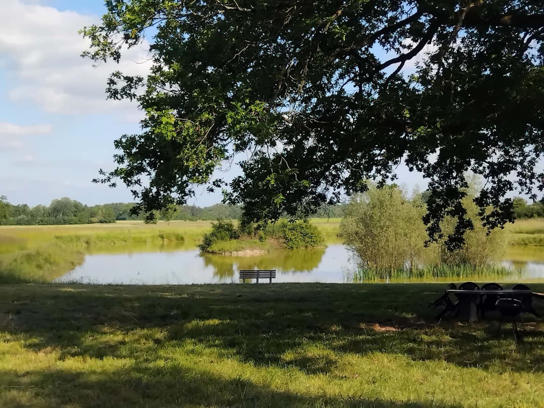 Location étang dans la Marne pour pêcher en famille ou entre amis 