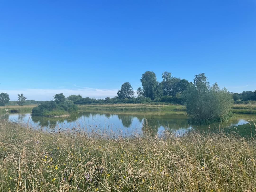 Location étang dans la Marne pour pêcher en famille ou entre amis 