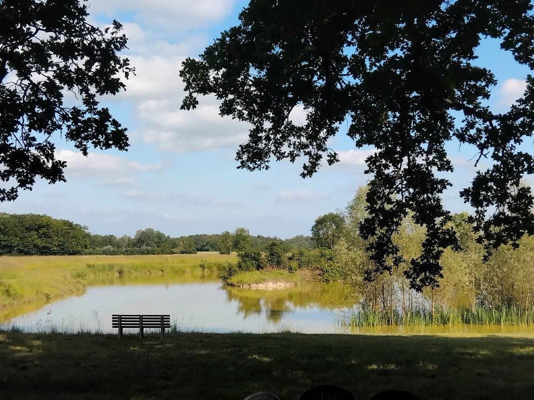 Location étang dans la Marne pour pêcher en famille ou entre amis 