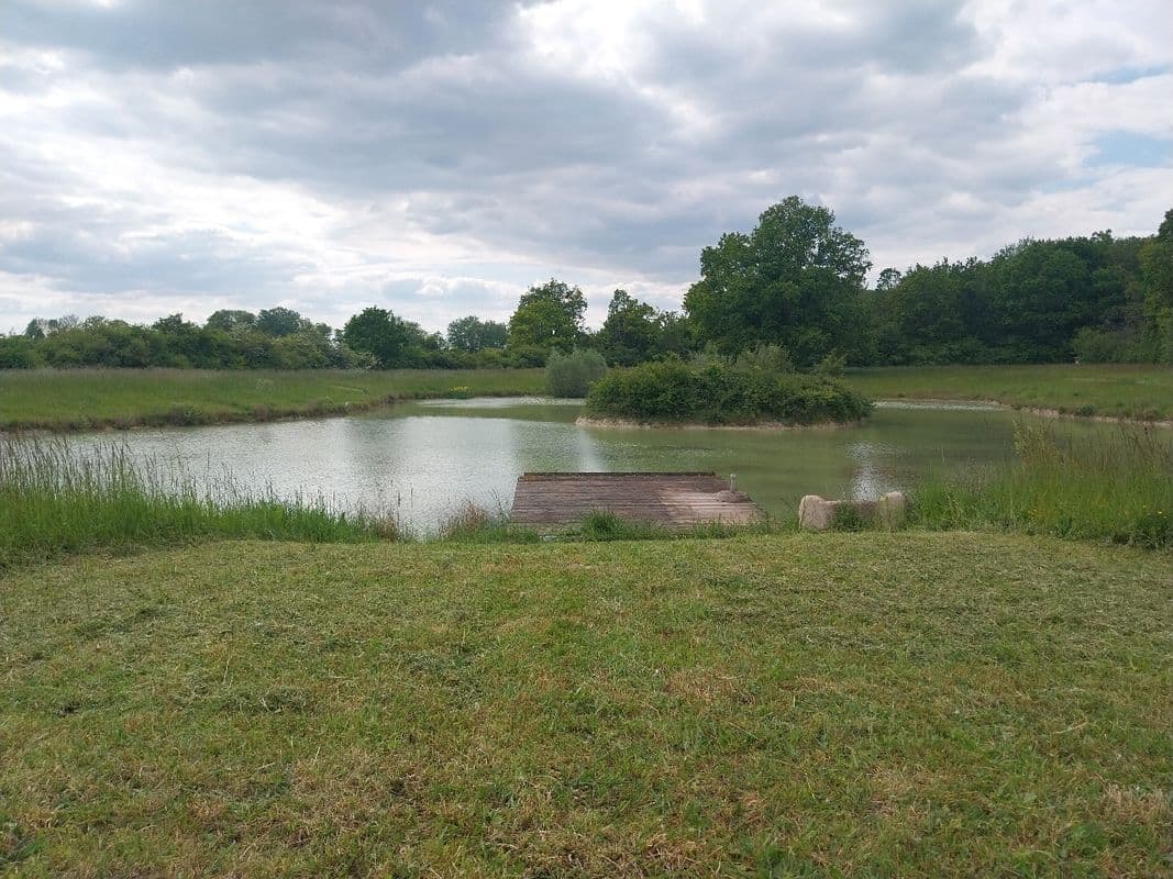 Location étang dans la Marne pour pêcher en famille ou entre amis 