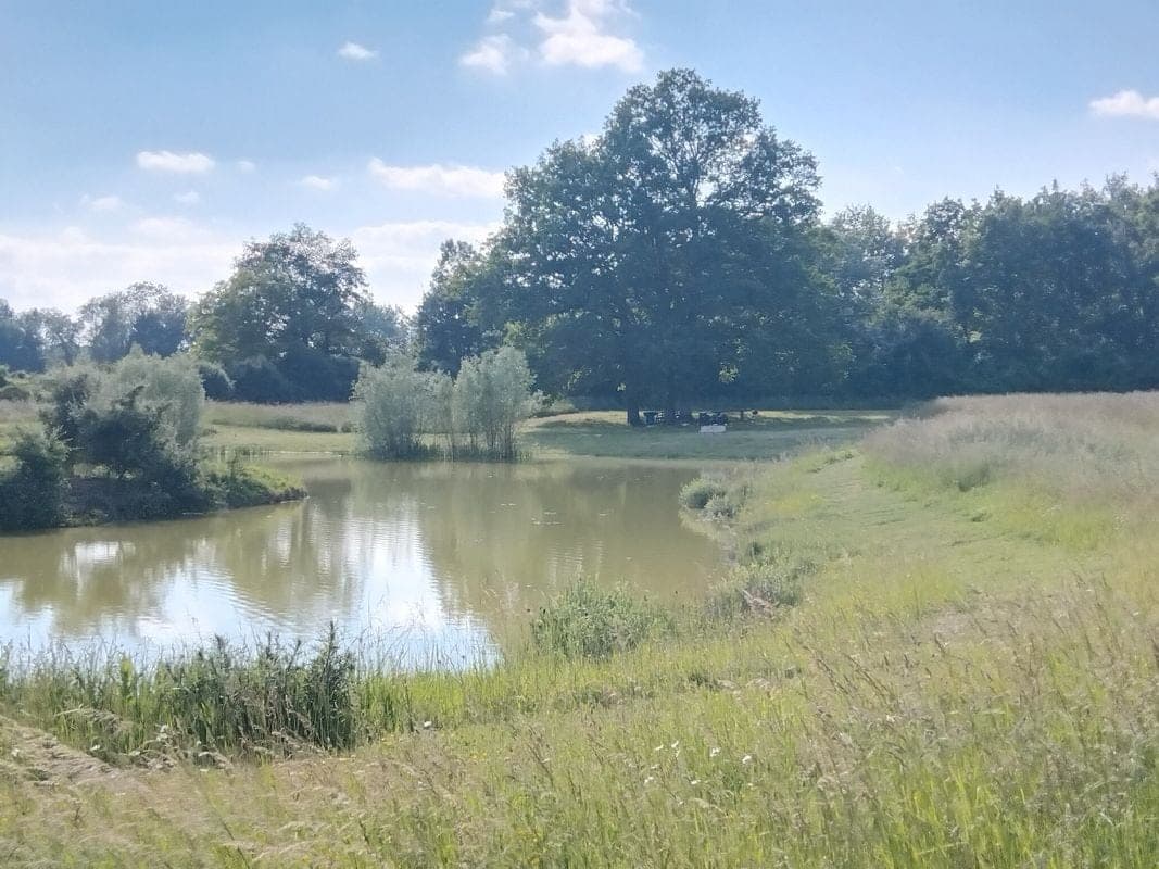 Location étang dans la Marne pour pêcher en famille ou entre amis 