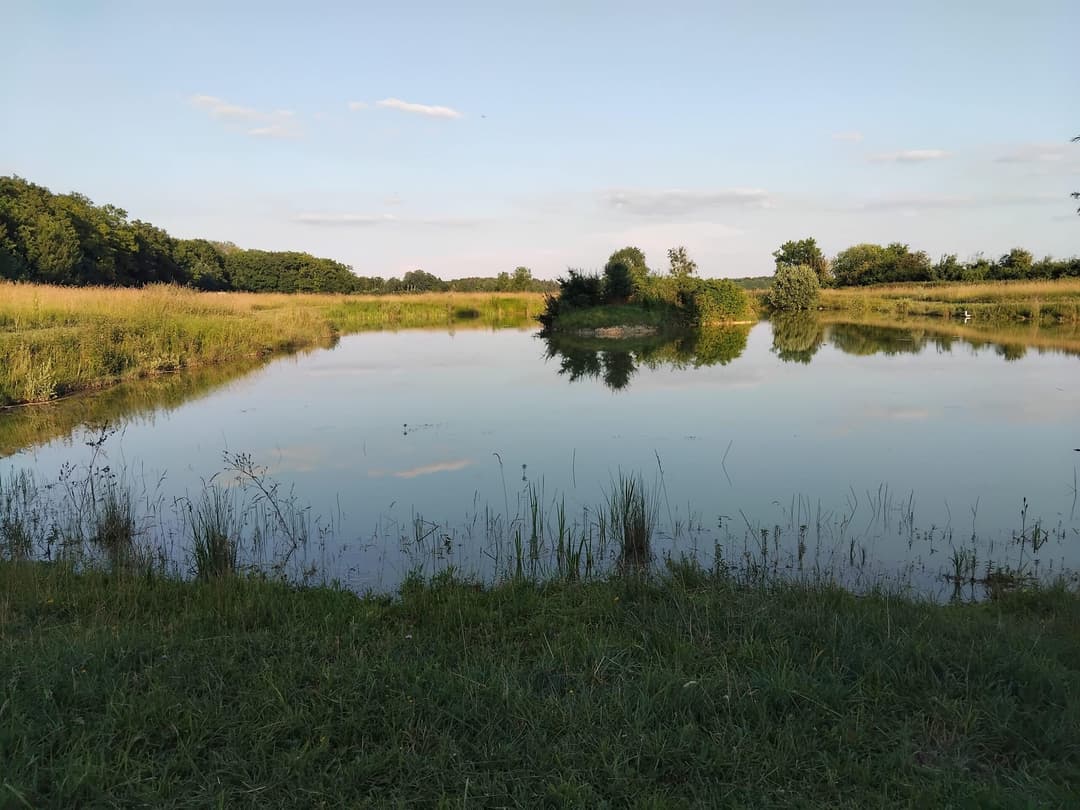 Location étang dans la Marne pour pêcher en famille ou entre amis 