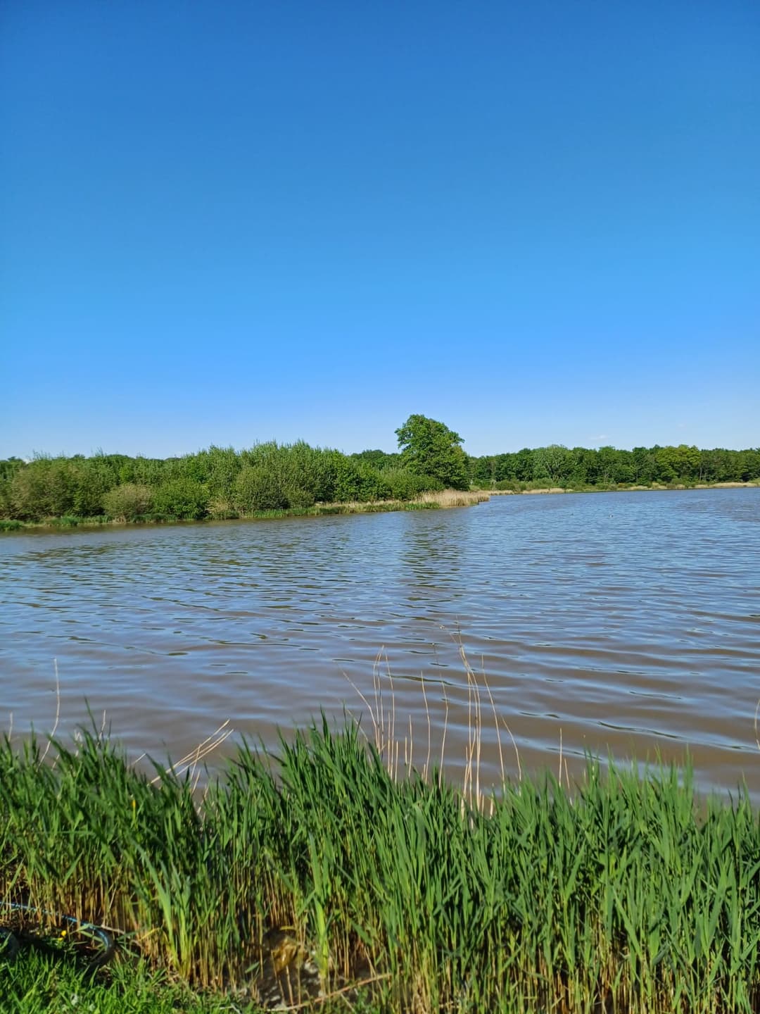 Location étang de 12ha + un étang de 2ha pour la pêche 
