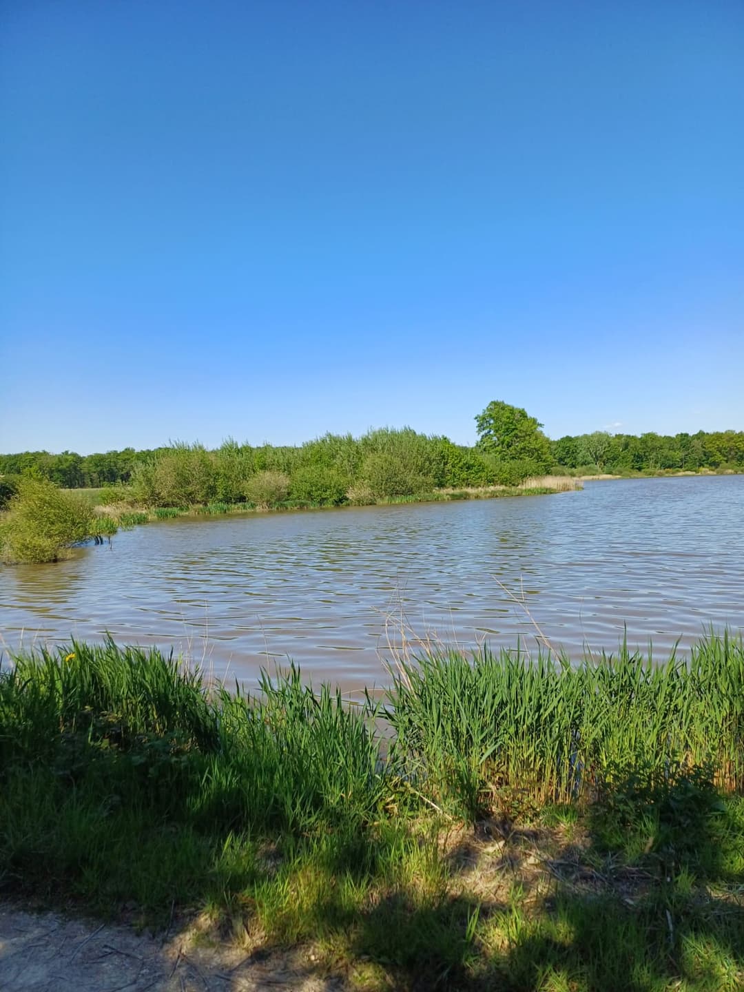 Location étang de 12ha + un étang de 2ha pour la pêche 