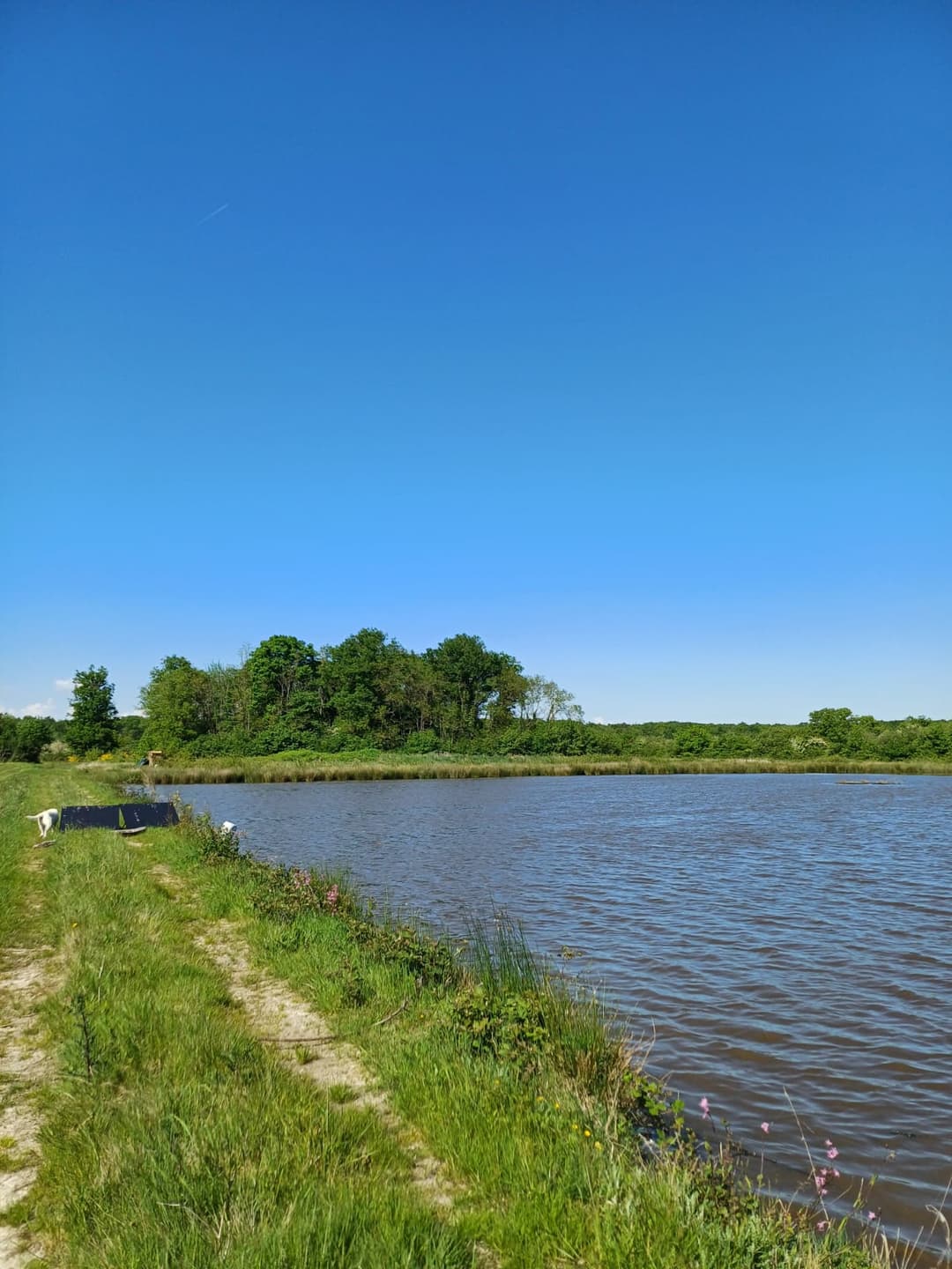 Location étang de 12ha + un étang de 2ha pour la pêche 