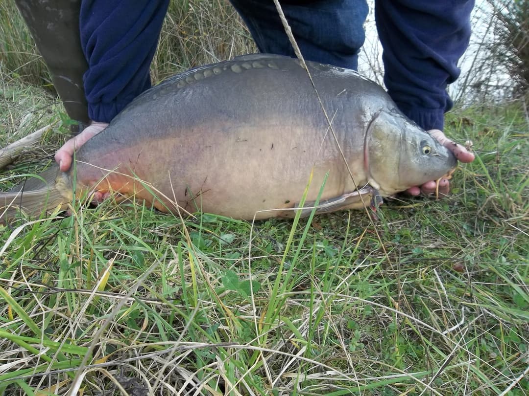 Location étang de 12ha + un étang de 2ha pour la pêche 