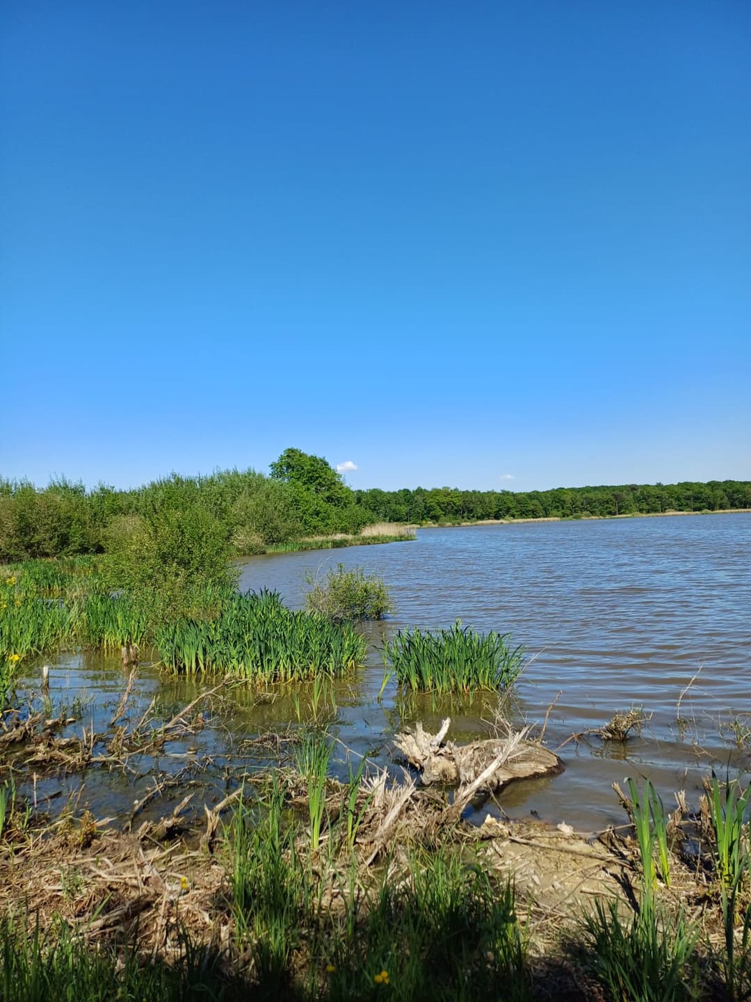 Location étang de 12ha + un étang de 2ha pour la pêche 