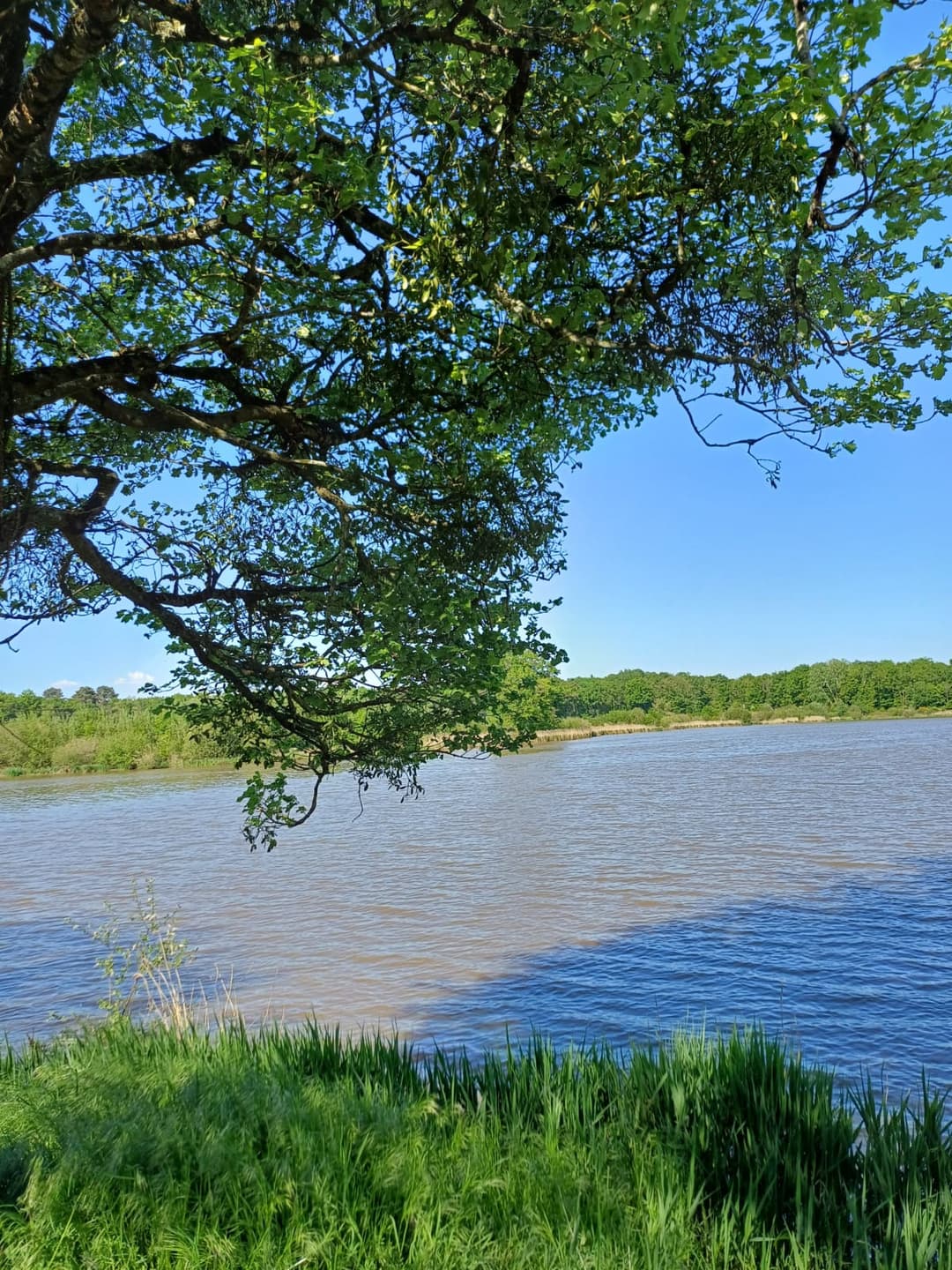 Location étang de 12ha + un étang de 2ha pour la pêche 