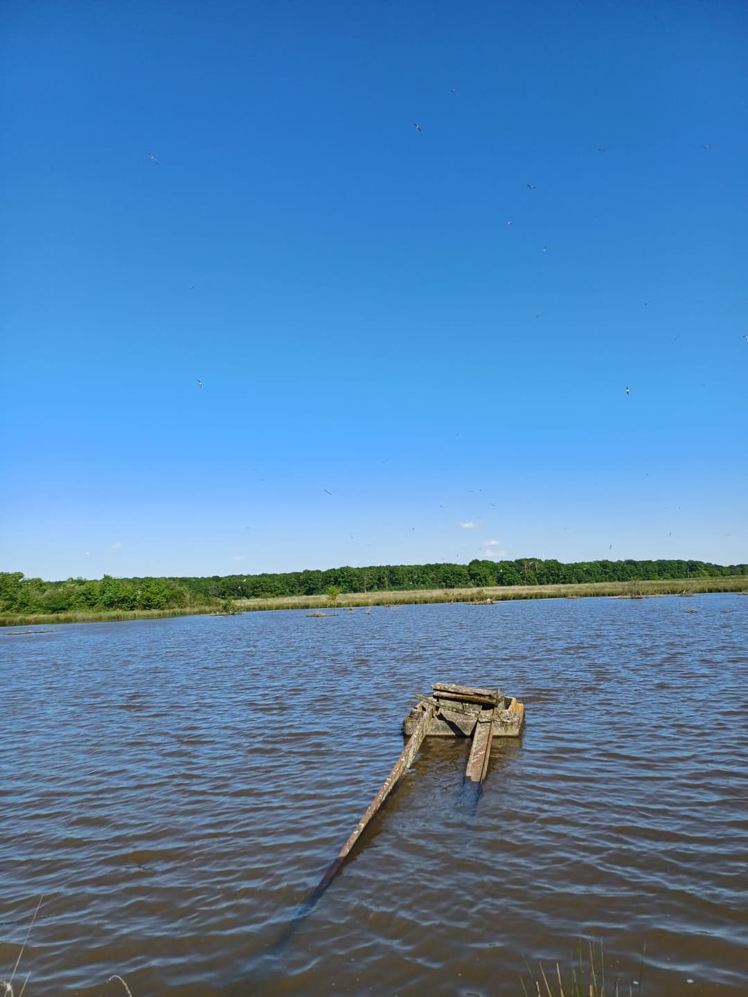 Location étang de 12ha + un étang de 2ha pour la pêche 
