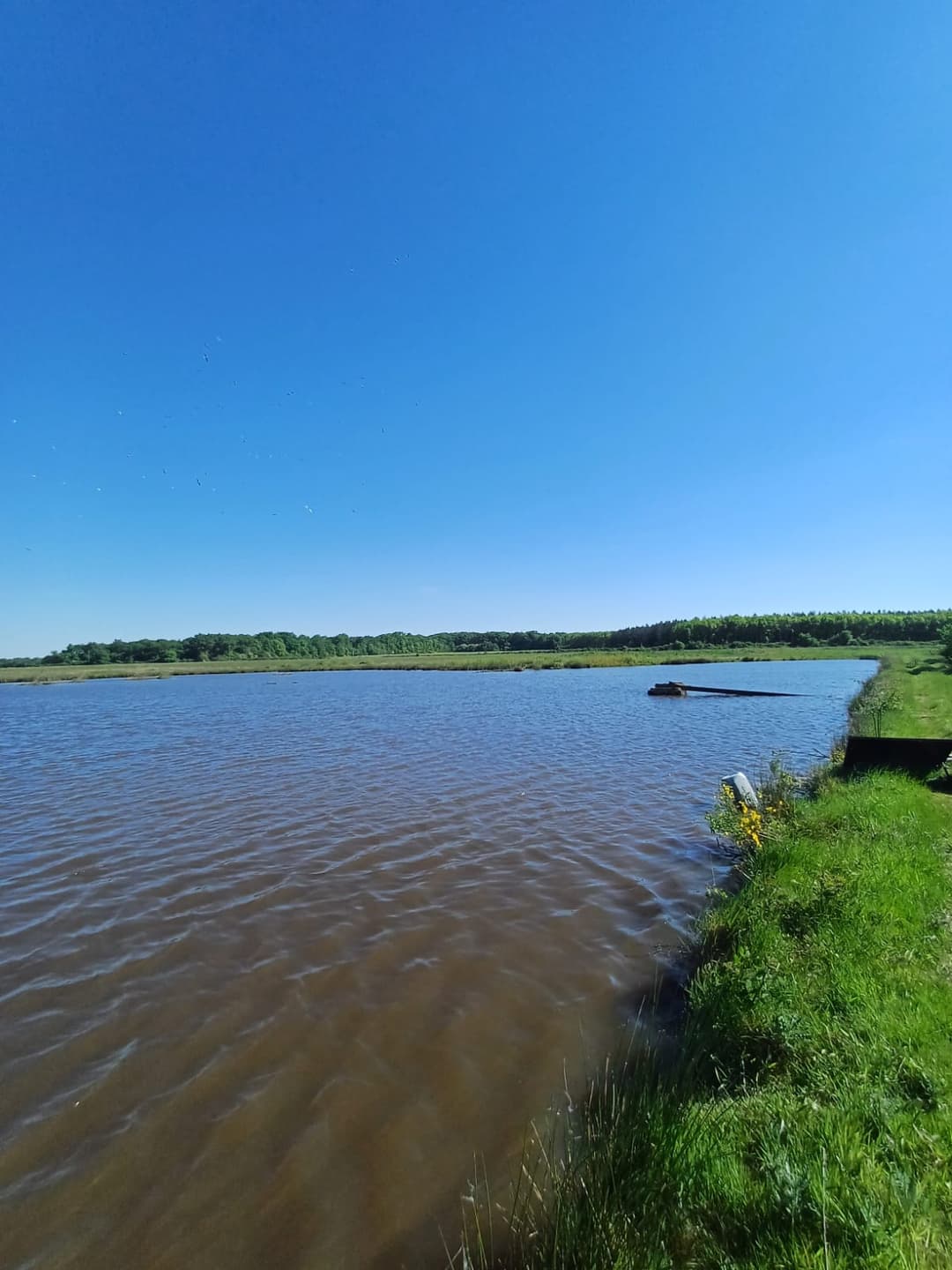 Location étang de 12ha + un étang de 2ha pour la pêche 