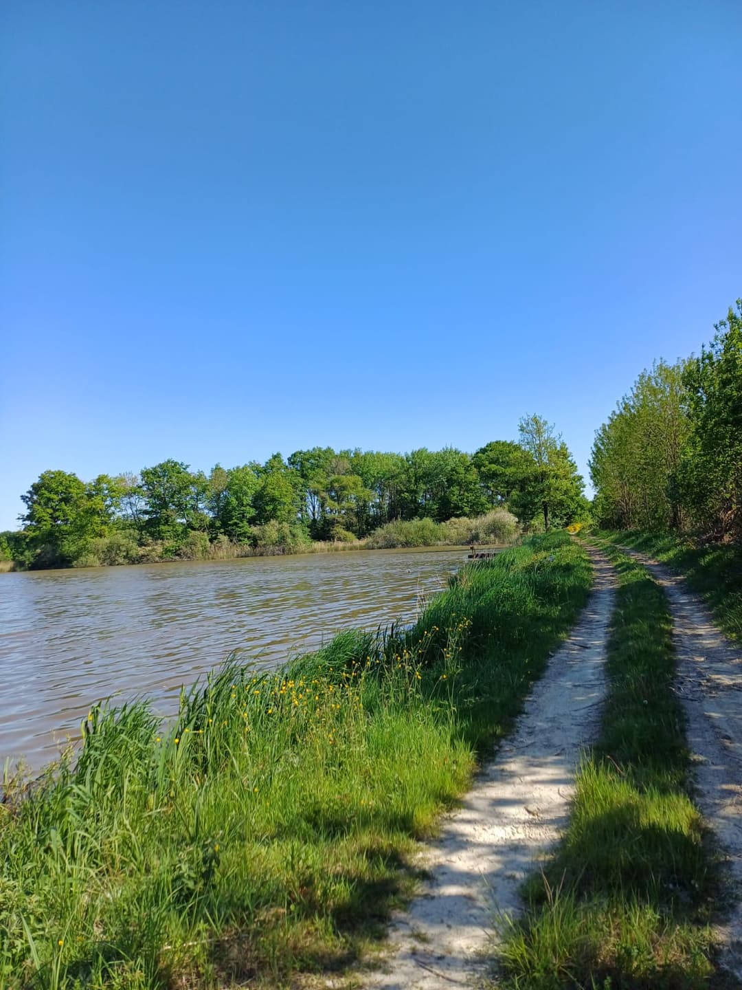 Location étang de 12ha + un étang de 2ha pour la pêche 