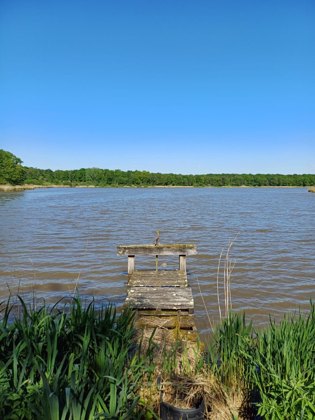 Location étang de 12ha + un étang de 2ha pour la pêche 
