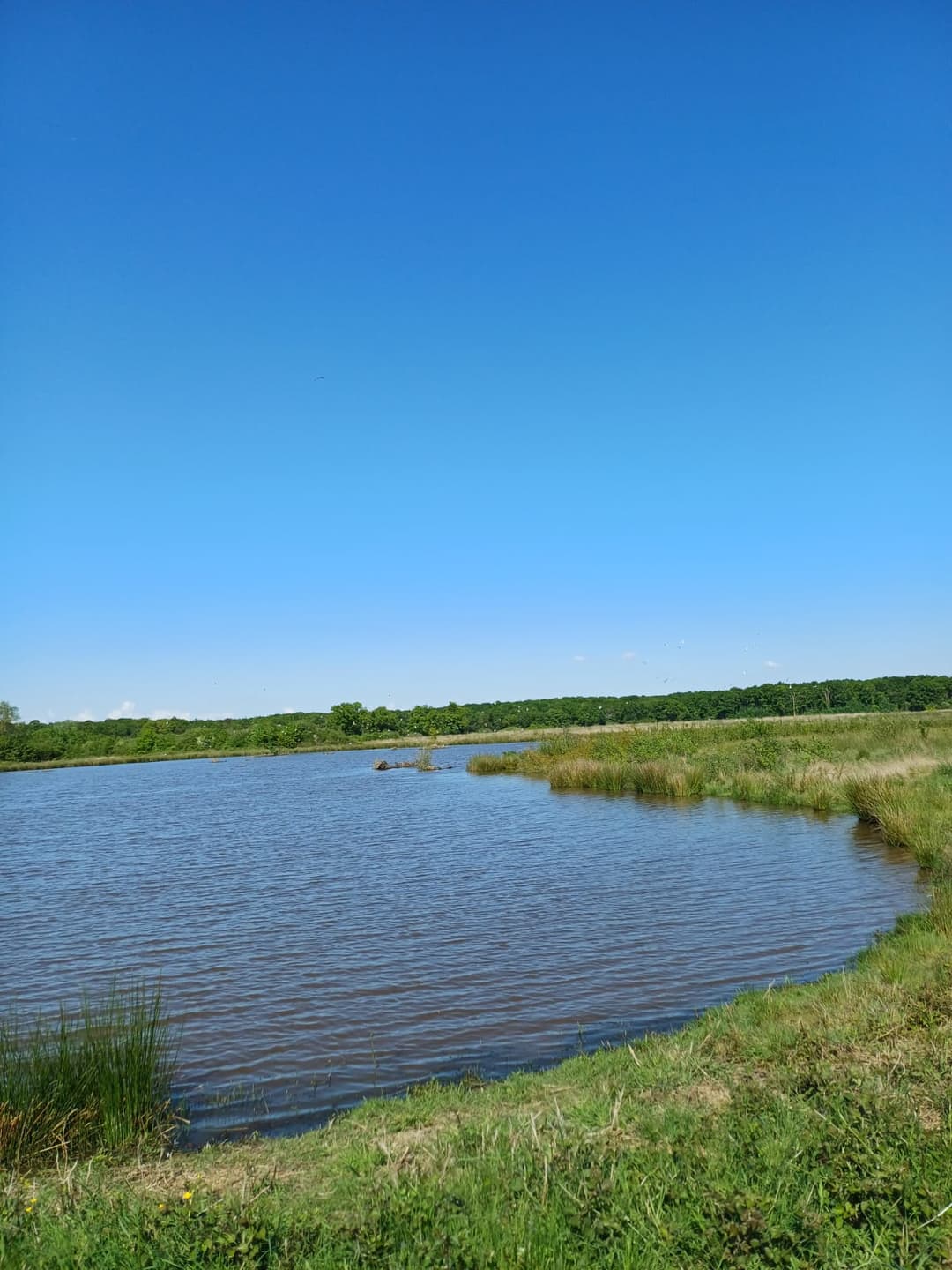 Location étang de 12ha + un étang de 2ha pour la pêche 