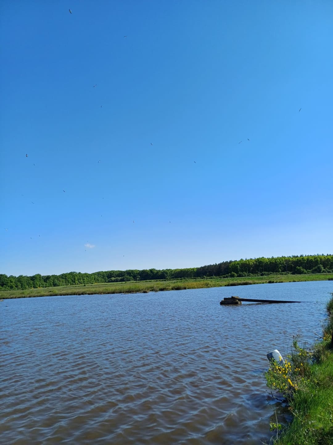 Location étang de 12ha + un étang de 2ha pour la pêche 
