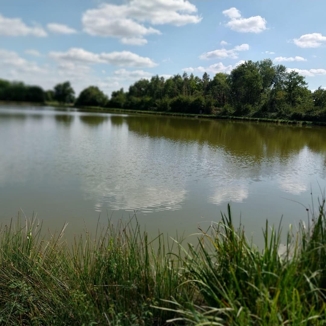 Étang de 4 ha situé en Sologne avec grande maison de chasse de 70 m2