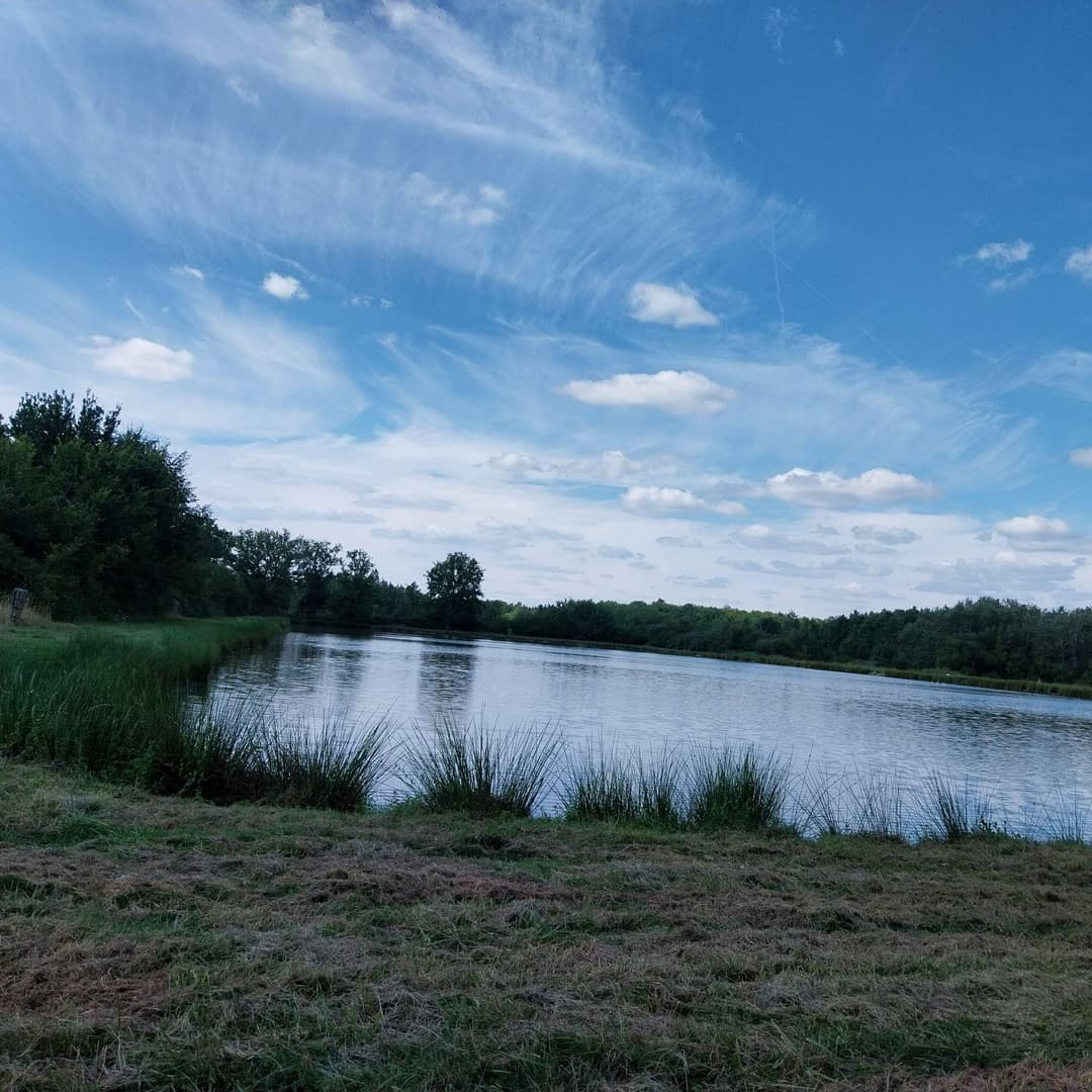 Étang de 4 ha situé en Sologne avec grande maison de chasse de 70 m2