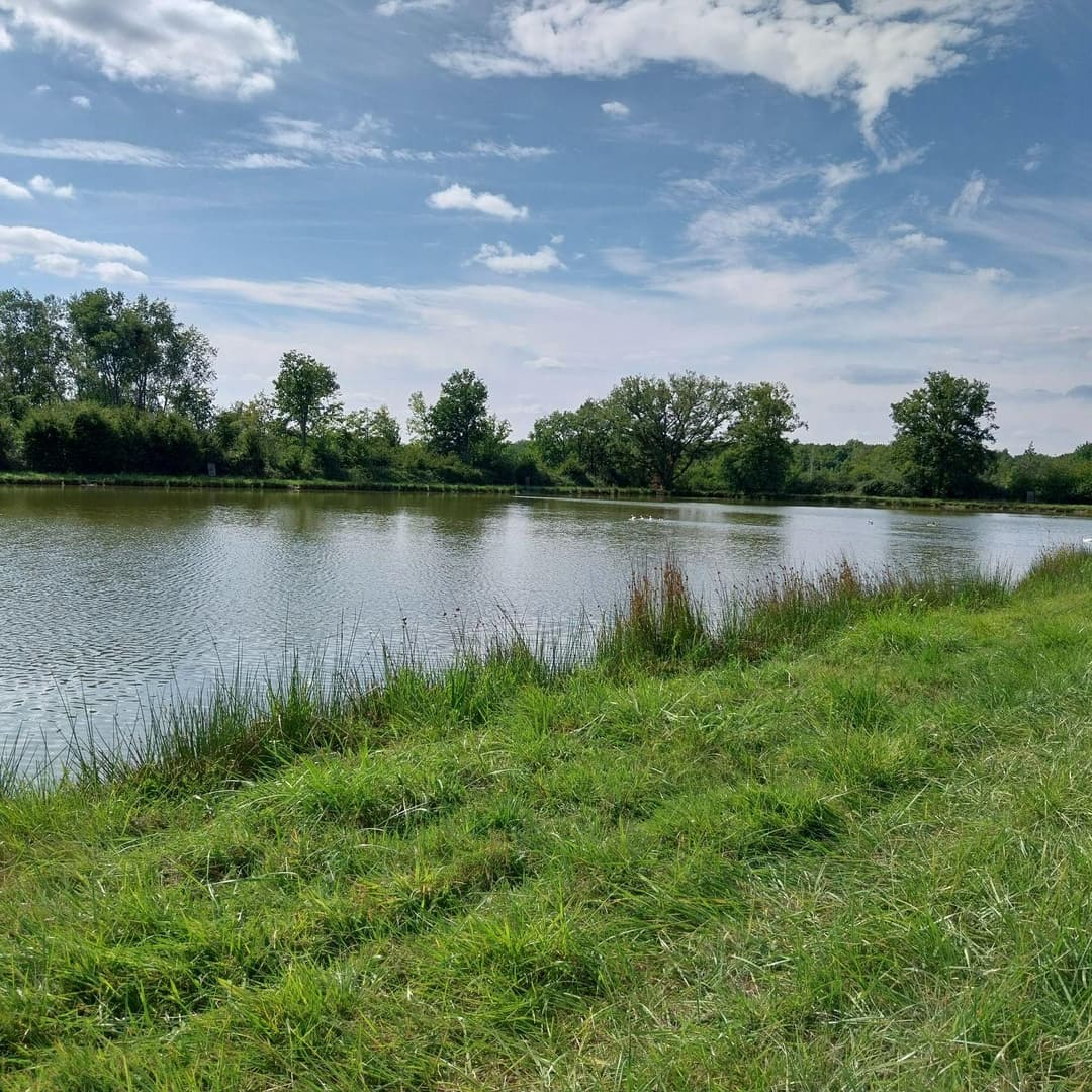 Étang de 4 ha situé en Sologne avec grande maison de chasse de 70 m2