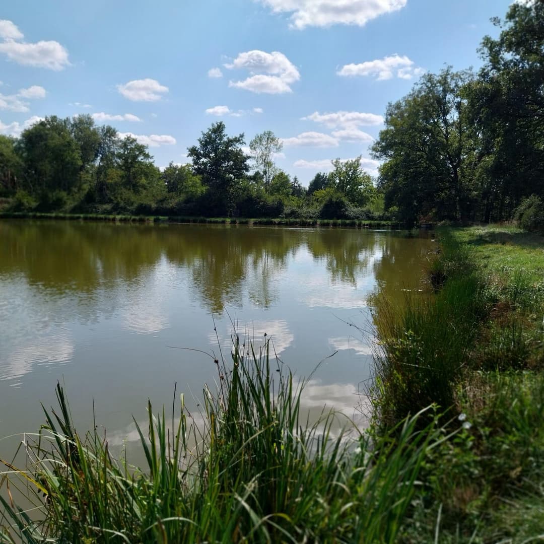 Étang de 4 ha situé en Sologne avec grande maison de chasse de 70 m2