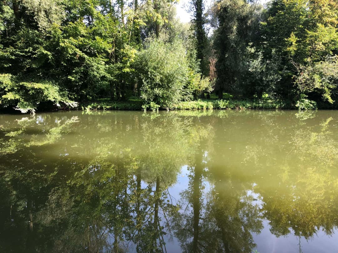Deux étangs avec un coup de pêche au bord d’une rivière en pleine nature 