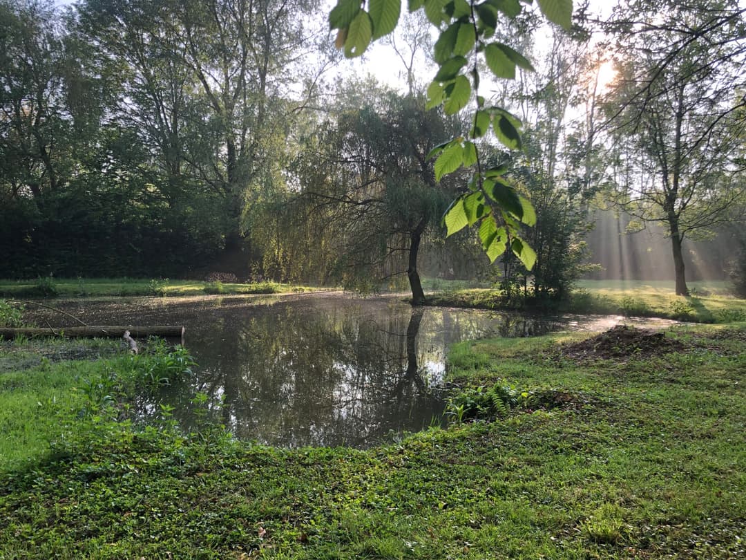 Deux étangs avec un coup de pêche au bord d’une rivière en pleine nature 
