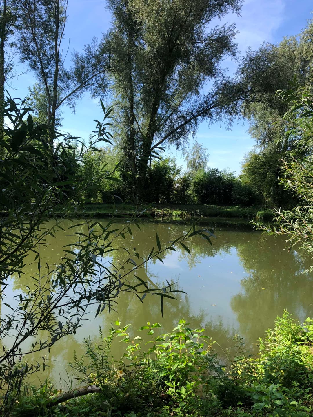 Deux étangs avec un coup de pêche au bord d’une rivière en pleine nature 