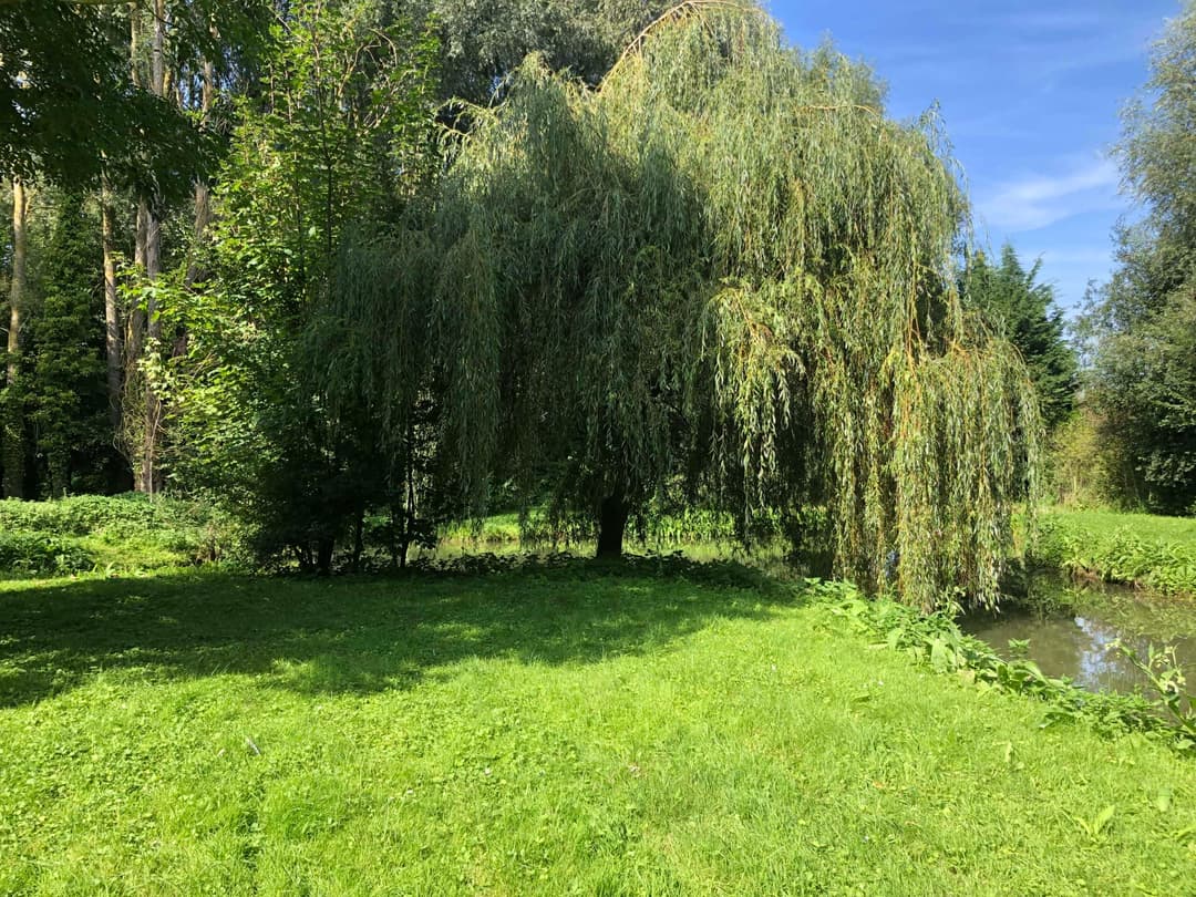 Deux étangs avec un coup de pêche au bord d’une rivière en pleine nature 