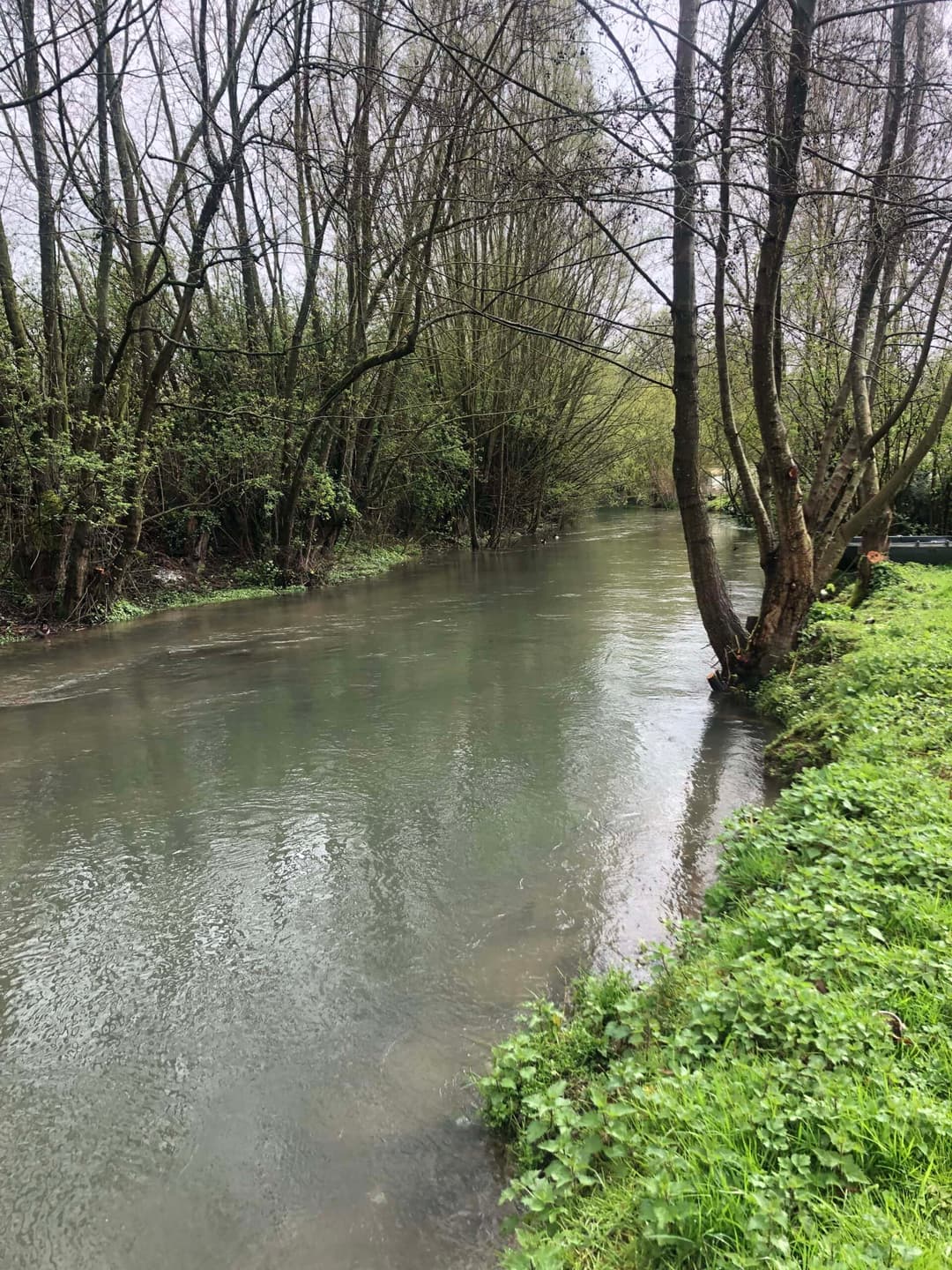 Deux étangs avec un coup de pêche au bord d’une rivière en pleine nature 