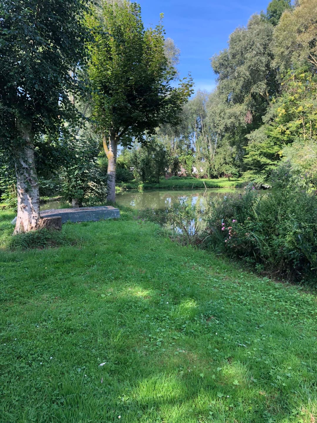 Deux étangs avec un coup de pêche au bord d’une rivière en pleine nature 