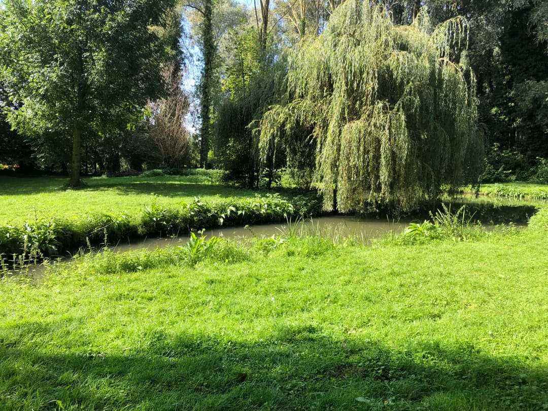 Deux étangs avec un coup de pêche au bord d’une rivière en pleine nature 