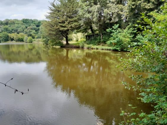 Etang à louer de 1.5ha avec une cabane de pêche