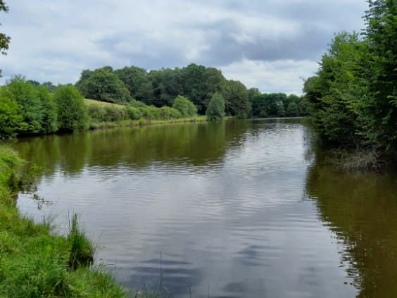 Etang à louer de 1.5ha avec une cabane de pêche