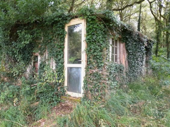 Etang à louer de 1.5ha avec une cabane de pêche