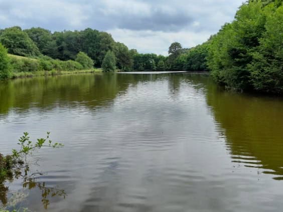 Etang à louer de 1.5ha avec une cabane de pêche