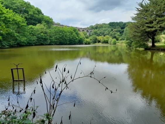 Etang à louer de 1.5ha avec une cabane de pêche