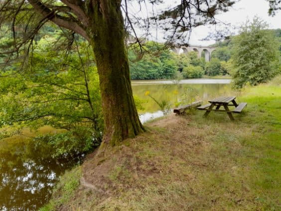 Etang à louer de 1.5ha avec une cabane de pêche
