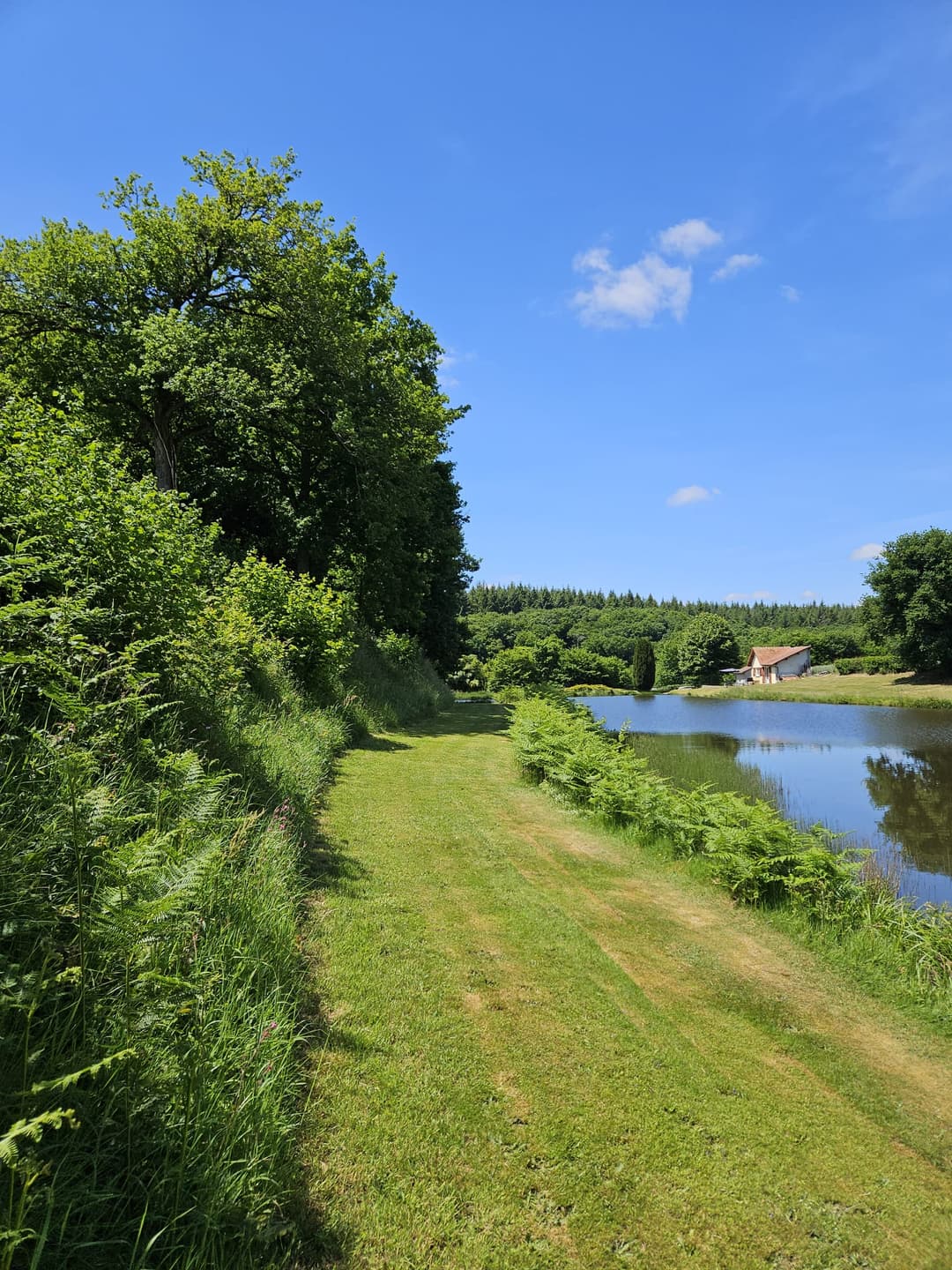 Maison tout équipée avec étang privé en Auvergne-Rhône-Alpes