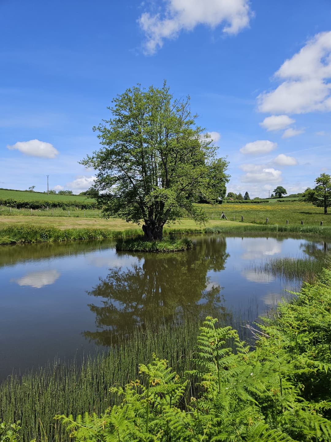 Maison tout équipée avec étang privé en Auvergne-Rhône-Alpes