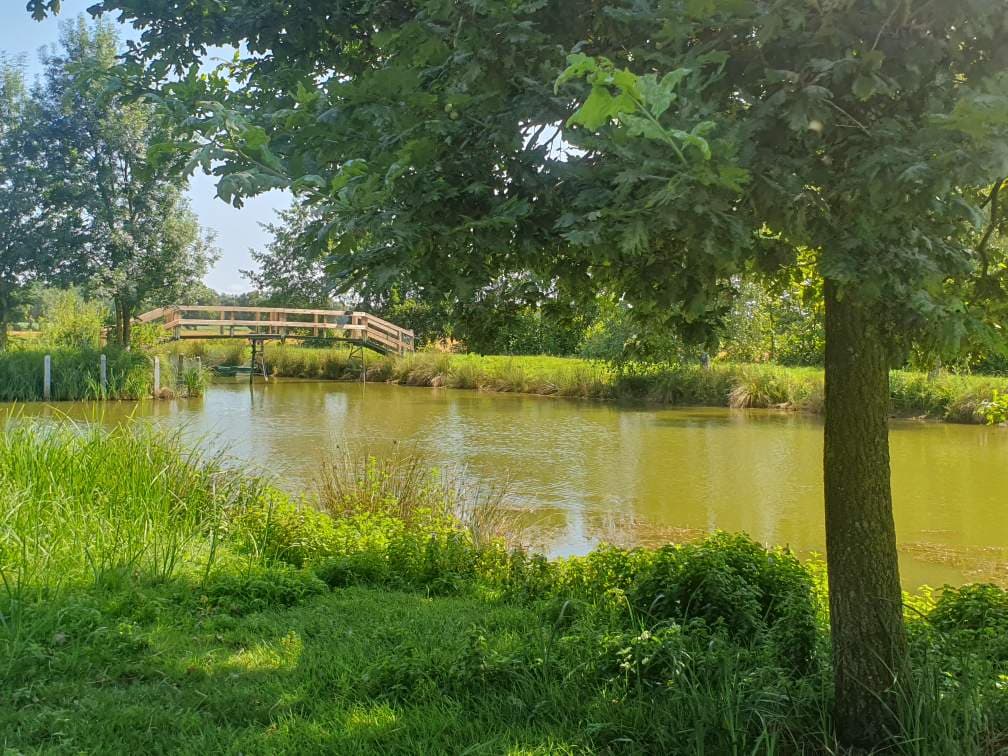 Étang dans les Dombes avec un gite 6 couchages 