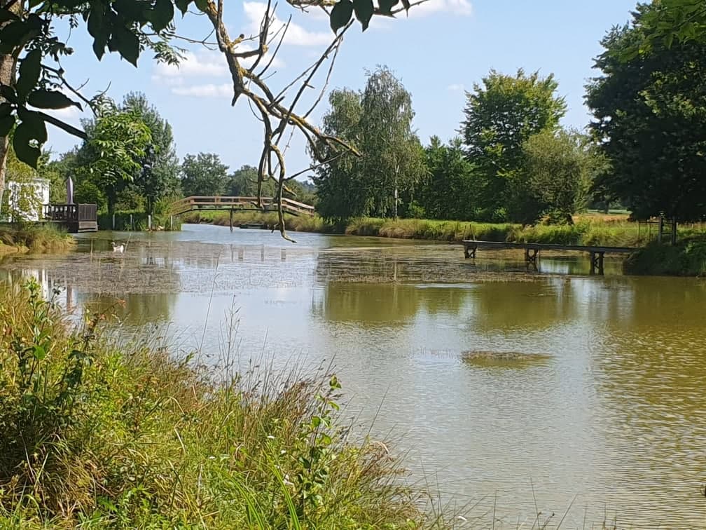 Étang dans les Dombes avec un gite 6 couchages 