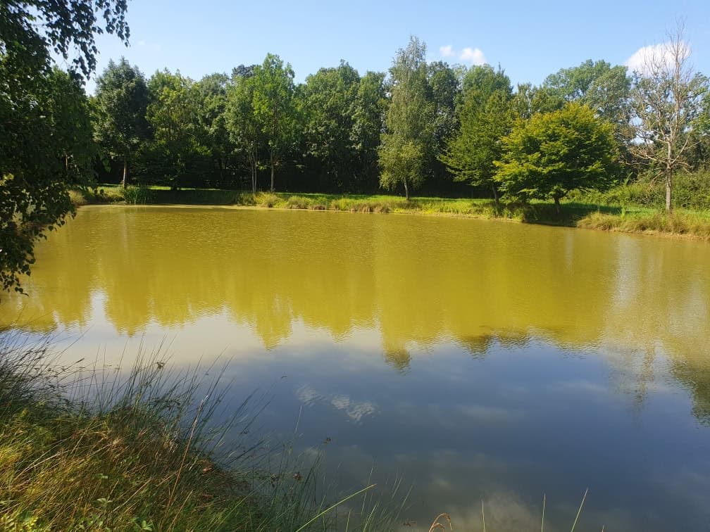 Étang dans les Dombes avec un gite 6 couchages 
