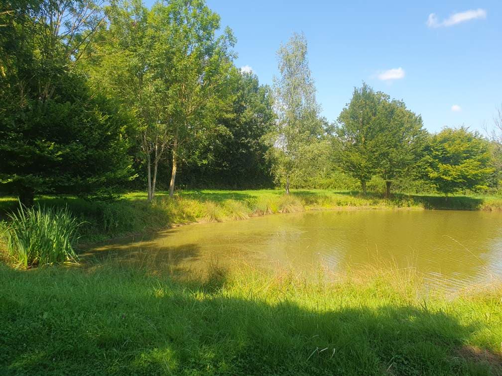Étang dans les Dombes avec un gite 6 couchages 