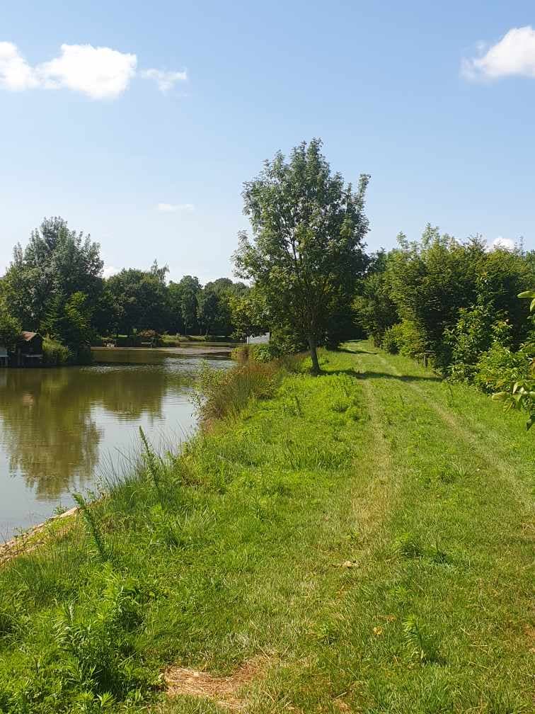 Étang dans les Dombes avec un gite 6 couchages 