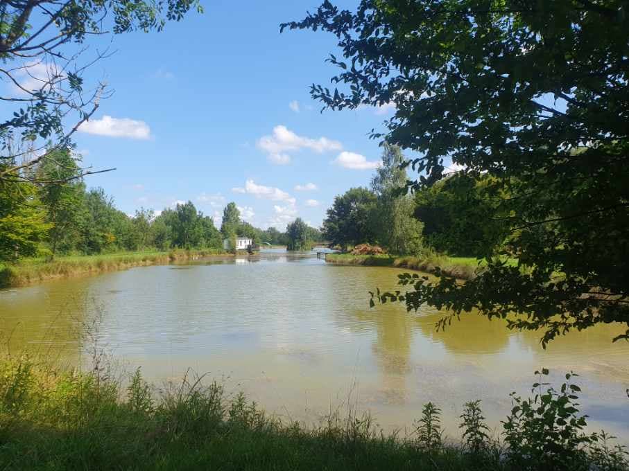 Étang dans les Dombes avec un gite 6 couchages 
